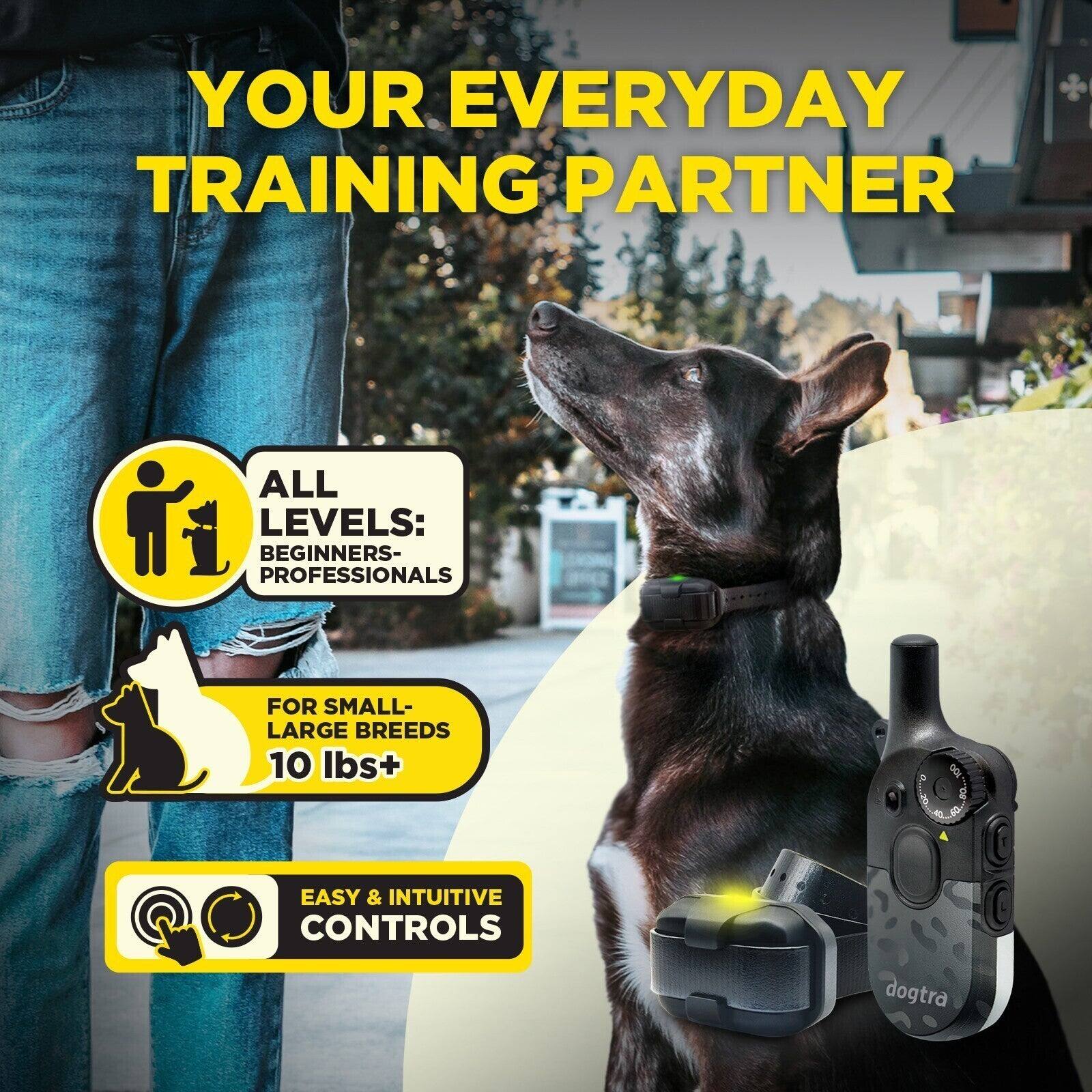 YOUR EVERYDAY TRAINING PARTNER

ALL LEVELS: BEGINNERS- PROFESSIONALS

FOR SMALL- LARGE BREEDS 10 lbs+

EASY & INTUITIVE CONTROLS

dogtra