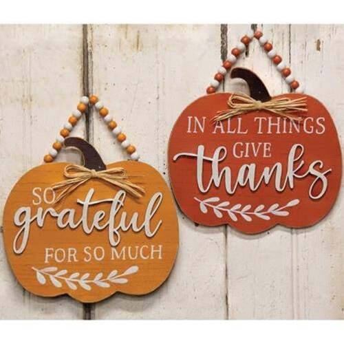 IN ALL THINGS GIVE THANKS

SO grateful FOR SO MUCH