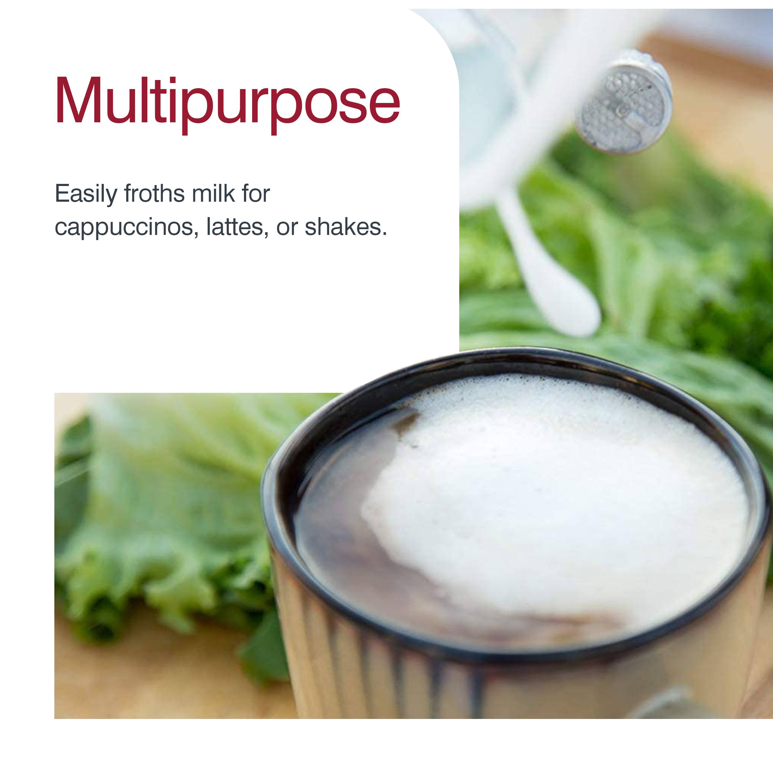 Multipurpose

Easily froths milk for cappuccinos, lattes, or shakes.