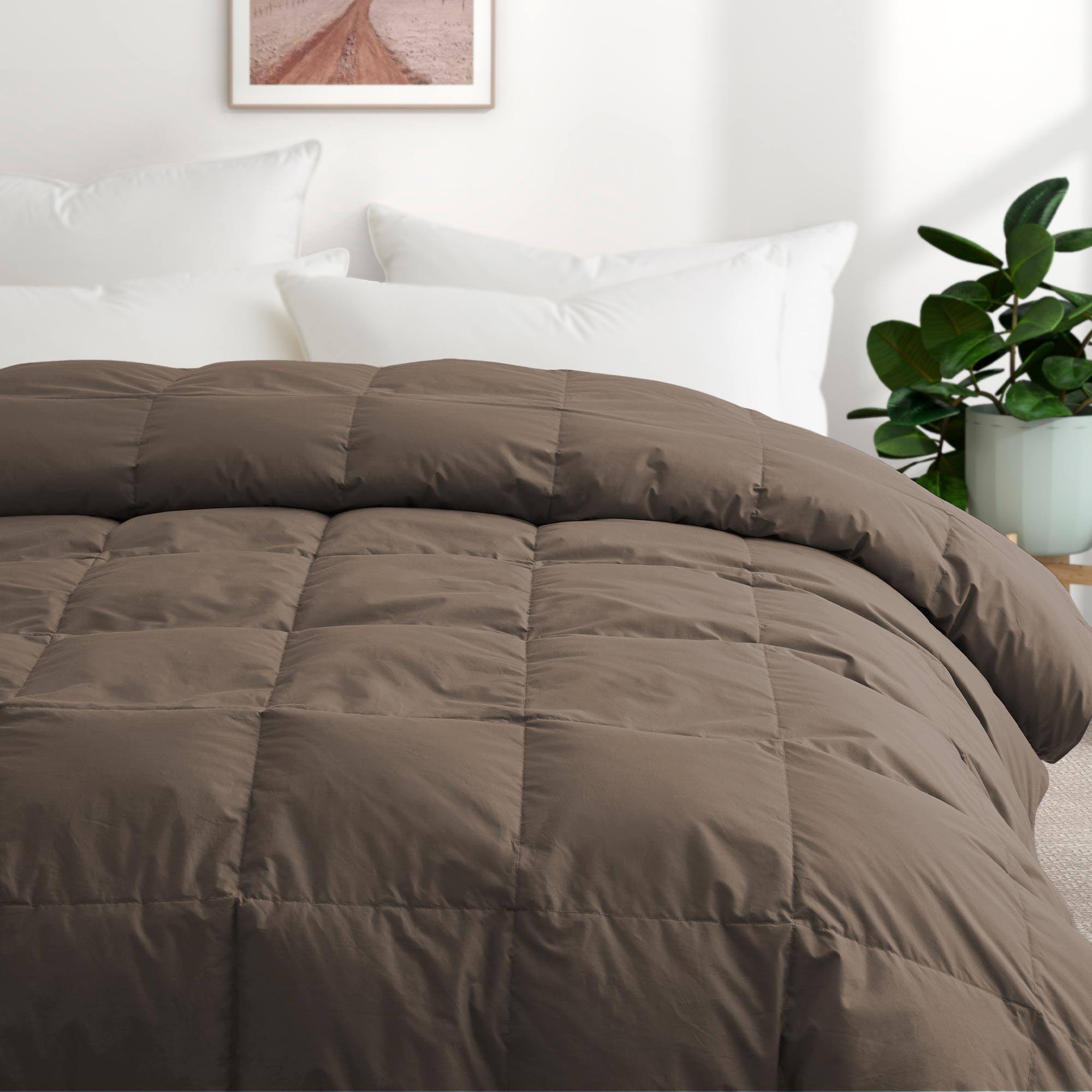 Angle. Puredown - Puredown All Season Organic Cotton Down & Feather Comforter Made in Germany, Brown, Full/Queen - Brown.