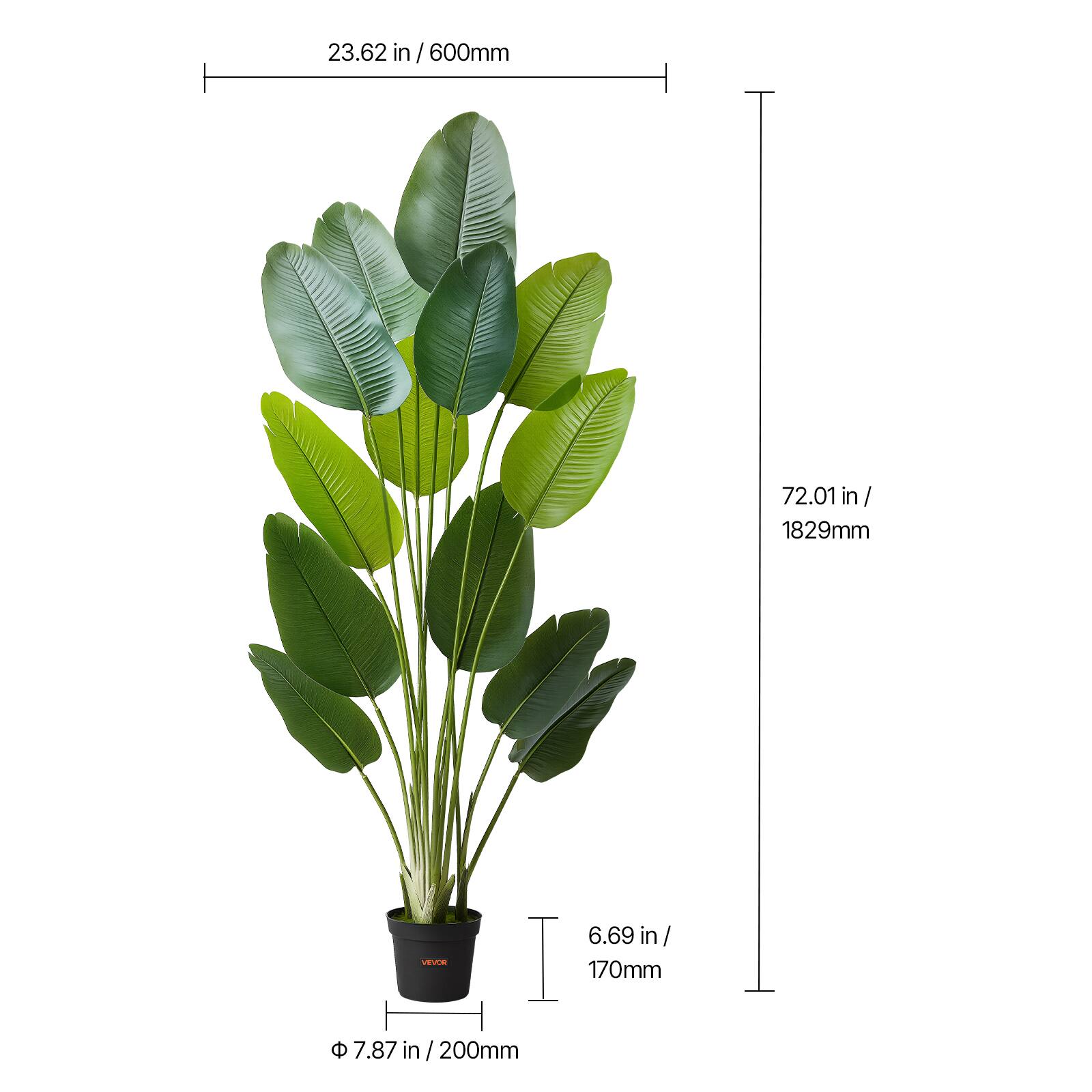 23.62 in / 600mm  
72.01 in / 1829mm  
6.69 in / 170mm  
7.87 in / 200mm