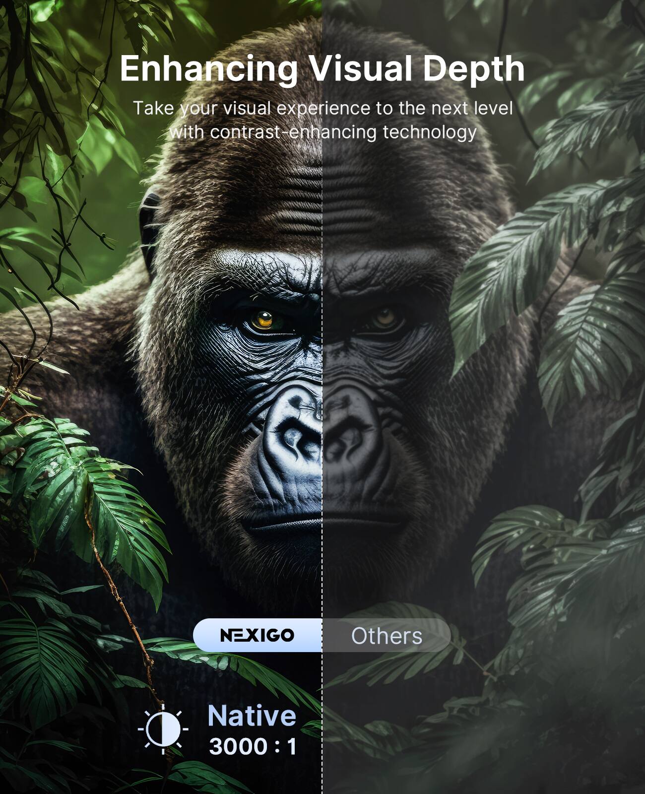 Enhancing Visual Depth

Take your visual experience to the next level with contrast-enhancing technology

NEXIGO
Native 3000:1

Others