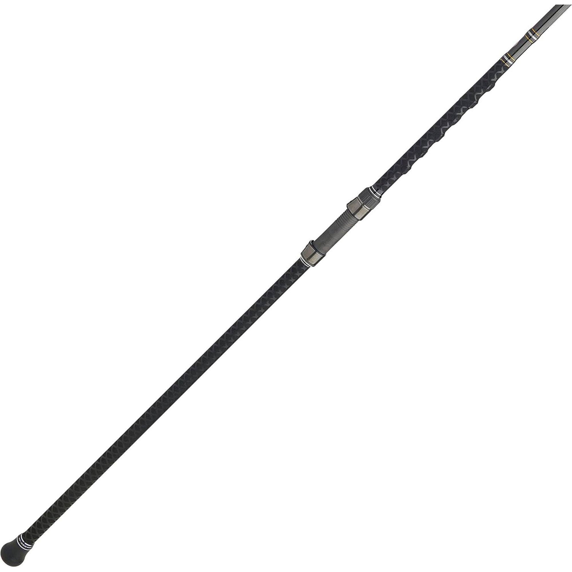 Front. PENN - PENN Carnage III Conventional Surf Rod, 10' Fishing Pole, Medium Power - Silver/Black/Gold.