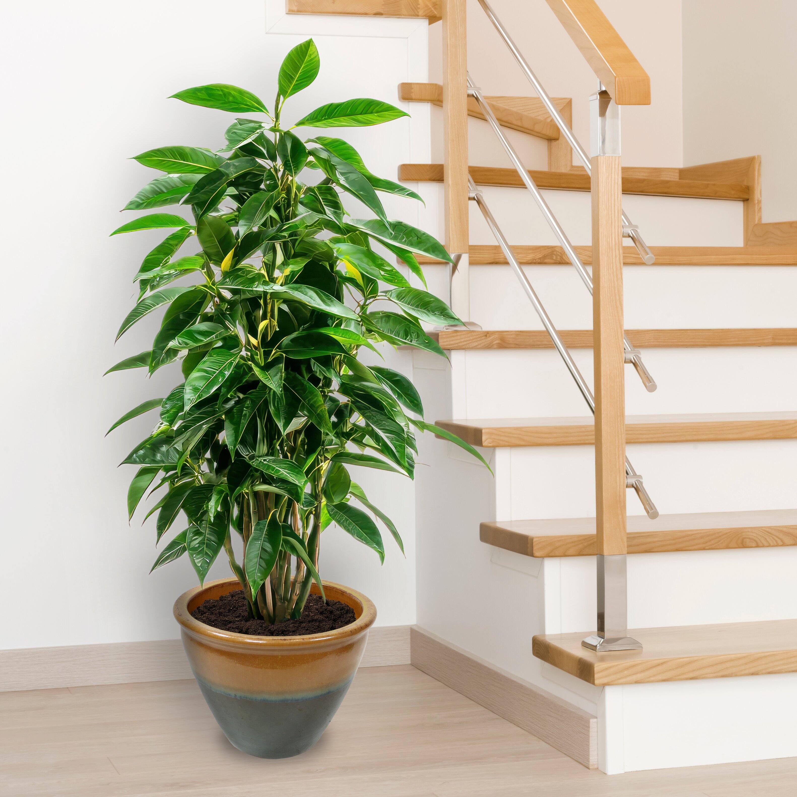 Alt View 9. Sunnydaze - 14.5 in Chalet High-Fired Glazed Ceramic Planter - Forest Lake Green.