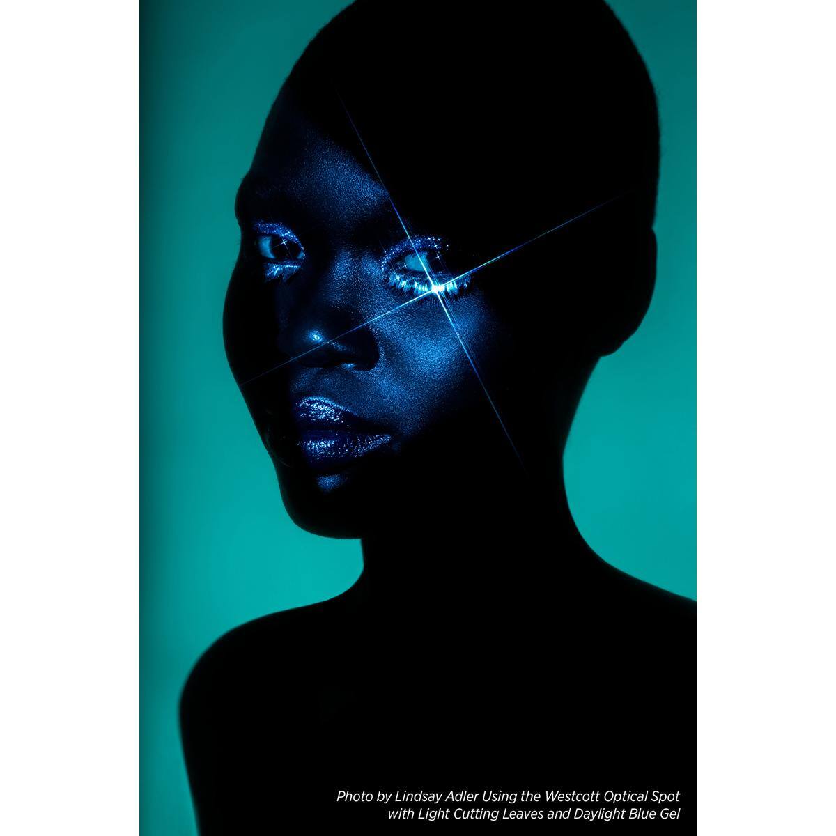 Photo by Lindsay Adler  
Using the Westcott Optical Spot with Light Cutting Leaves and Daylight Blue Gel