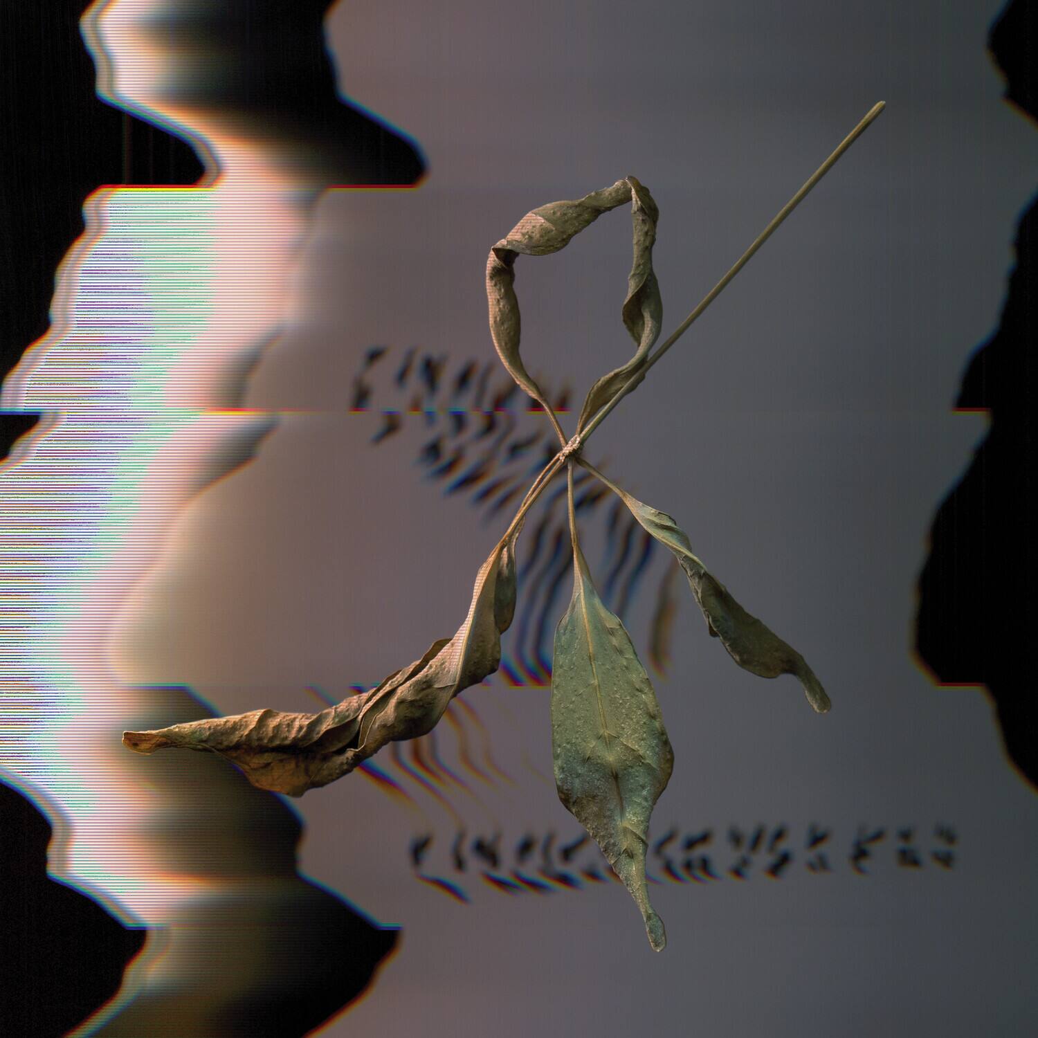 Front. T. Gowdy - Trill Scan   - VINYL LP .