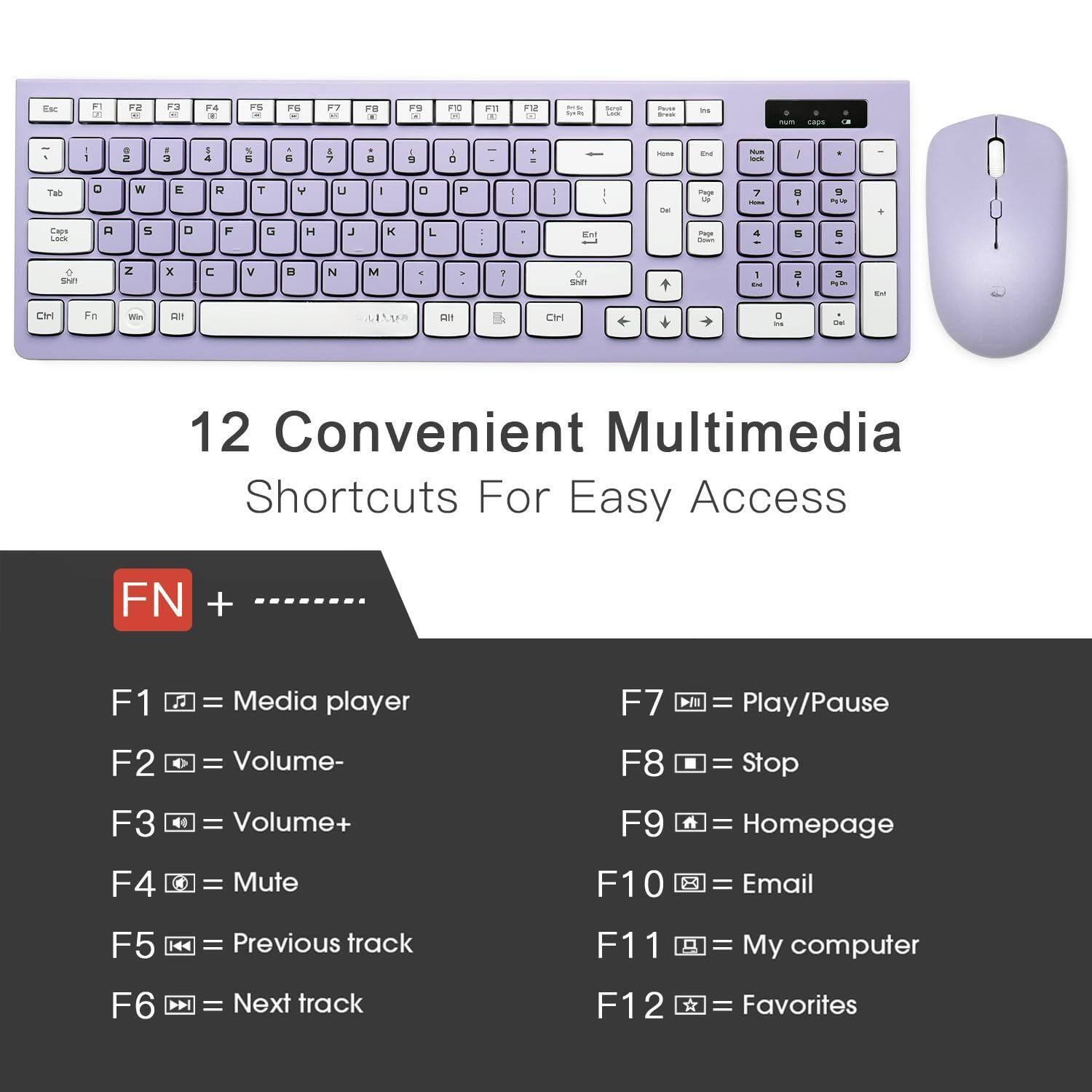 12 Convenient Multimedia Shortcuts For Easy Access

FN + F1 = Media player  
FN + F2 = Volume-  
FN + F3 = Volume+  
FN + F4 = Mute  
FN + F5 = Previous track  
FN + F6 = Next track  
FN + F7 = Play/Pause  
FN + F8 = Stop  
FN + F9 = Homepage  
FN + F10 = Email  
FN + F11 = My computer  
FN + F12 = Favorites
