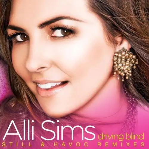 Alli Sims  
driving blind  
STILL & HAVOC REMIXES