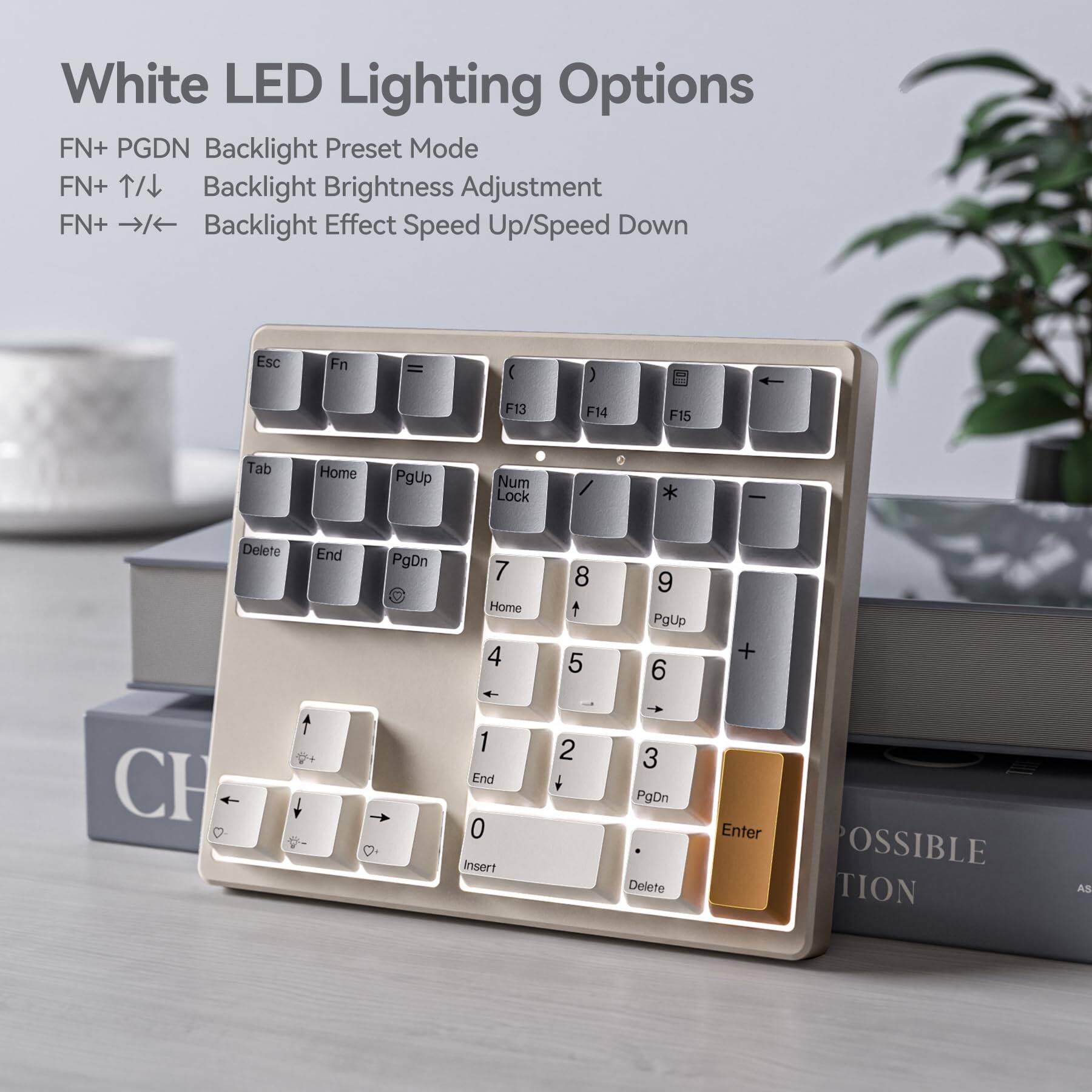 White LED Lighting Options

FN+ PGDN Backlight Preset Mode  
FN+ ↑/↓ Backlight Brightness Adjustment  
FN+ →/← Backlight Effect Speed Up/Speed Down  

Esc Fn = ( ) F13 F14 F15  
Tab Home PgUp Num Lock * - Delete End PgDn  
7 Home 4 8 5 9 PgUp 6 + CH + 1 End 0 Insert 2 + 3 PgDn Delete Enter  

POSSIBLE TION AS