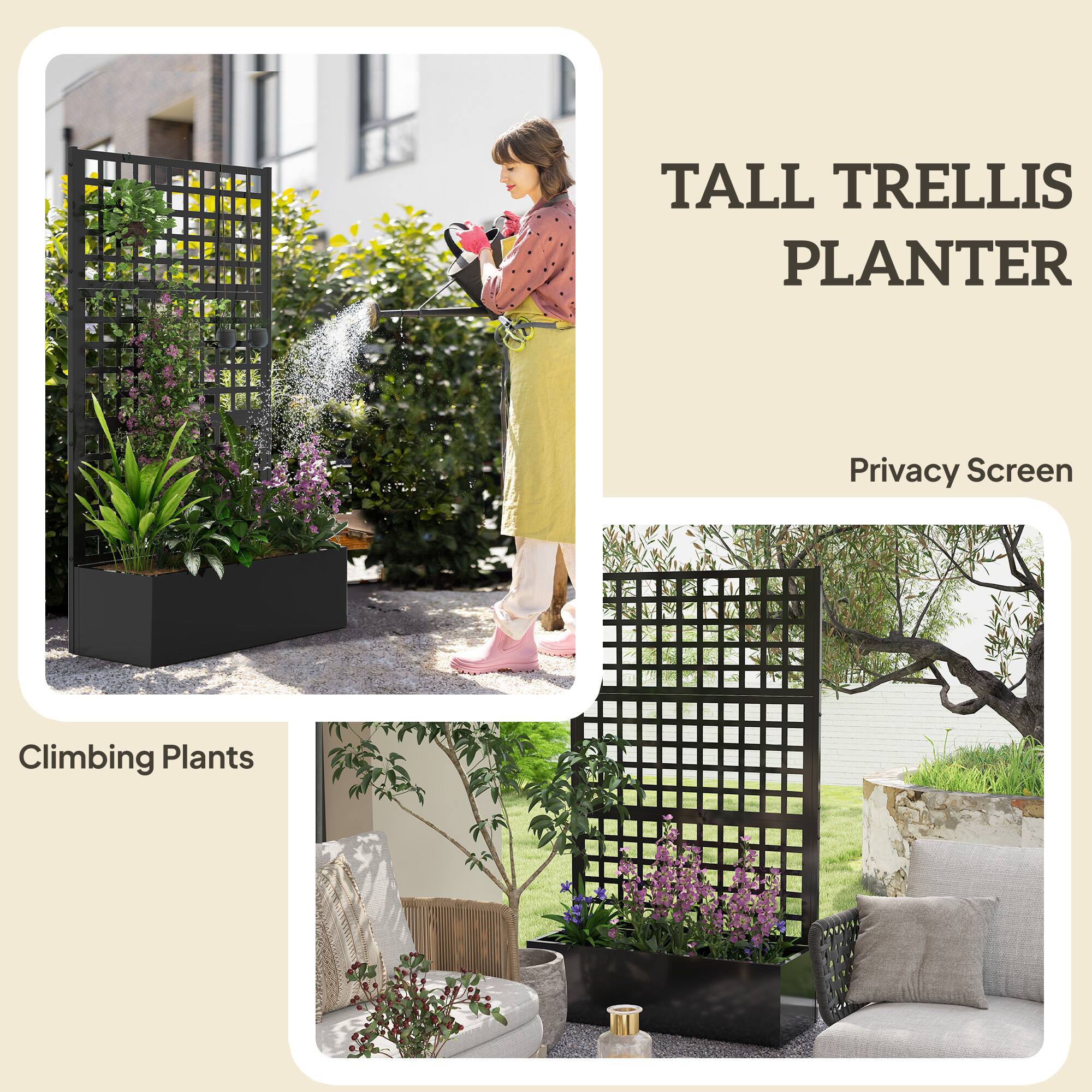 TALL TRELLIS PLANTER  
Privacy Screen  
Climbing Plants