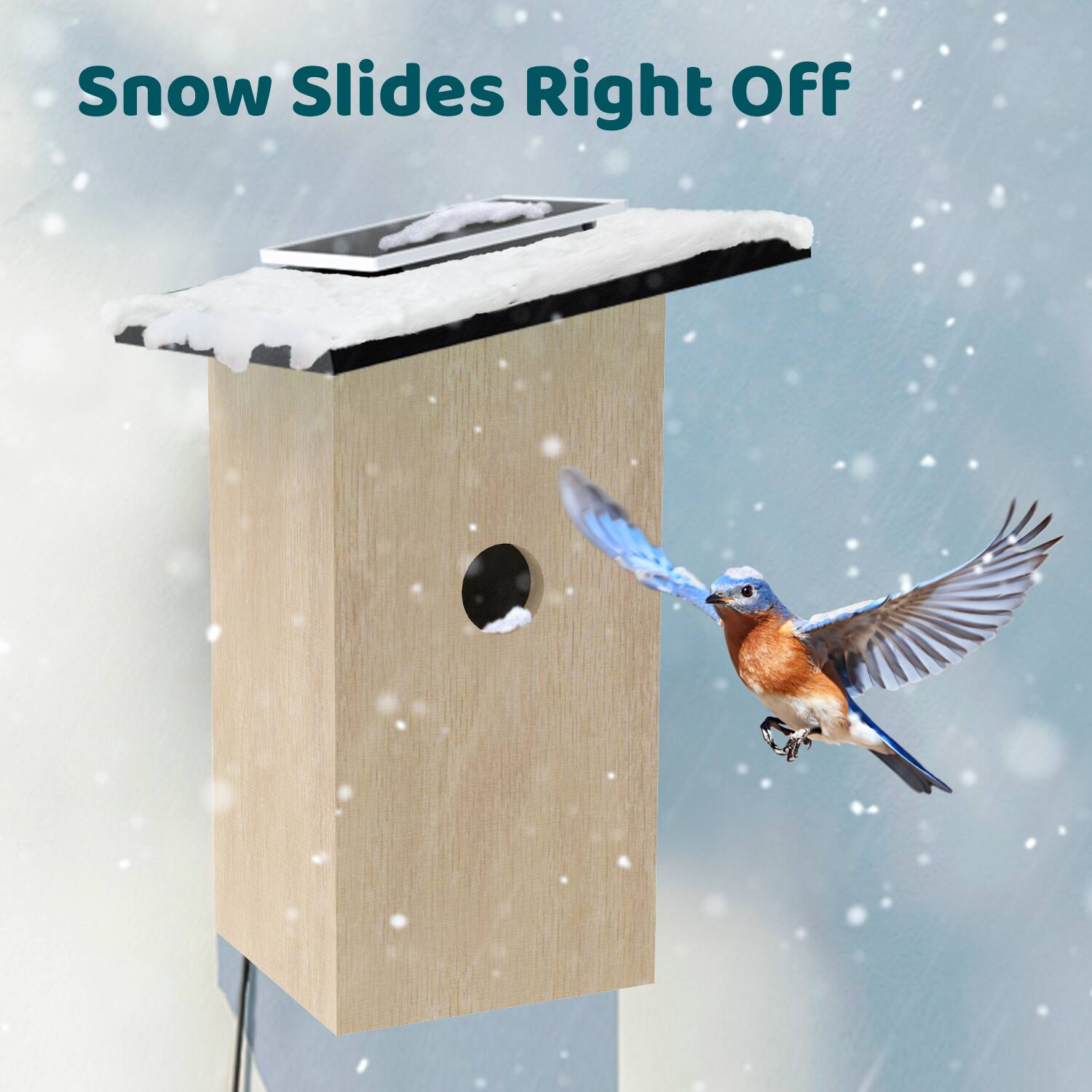 Snow Slides Right Off