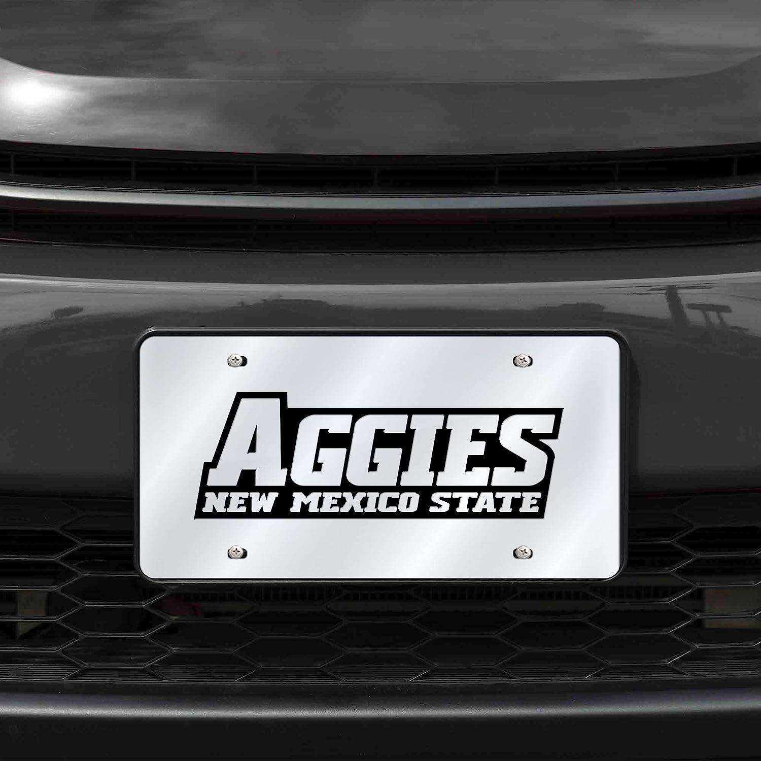AGGIES  
NEW MEXICO STATE