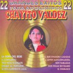Front Standard. 22 Grandes Exitos Para Adoloridos [CD].