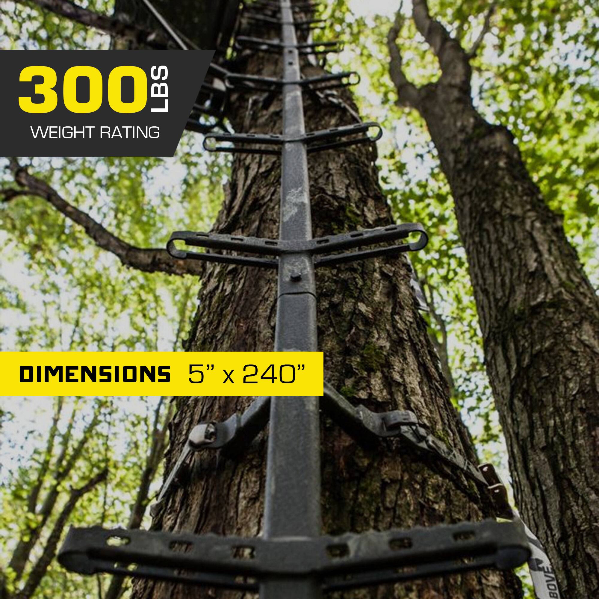 300 LBS WEIGHT RATING  
DIMENSIONS 5" x 240"