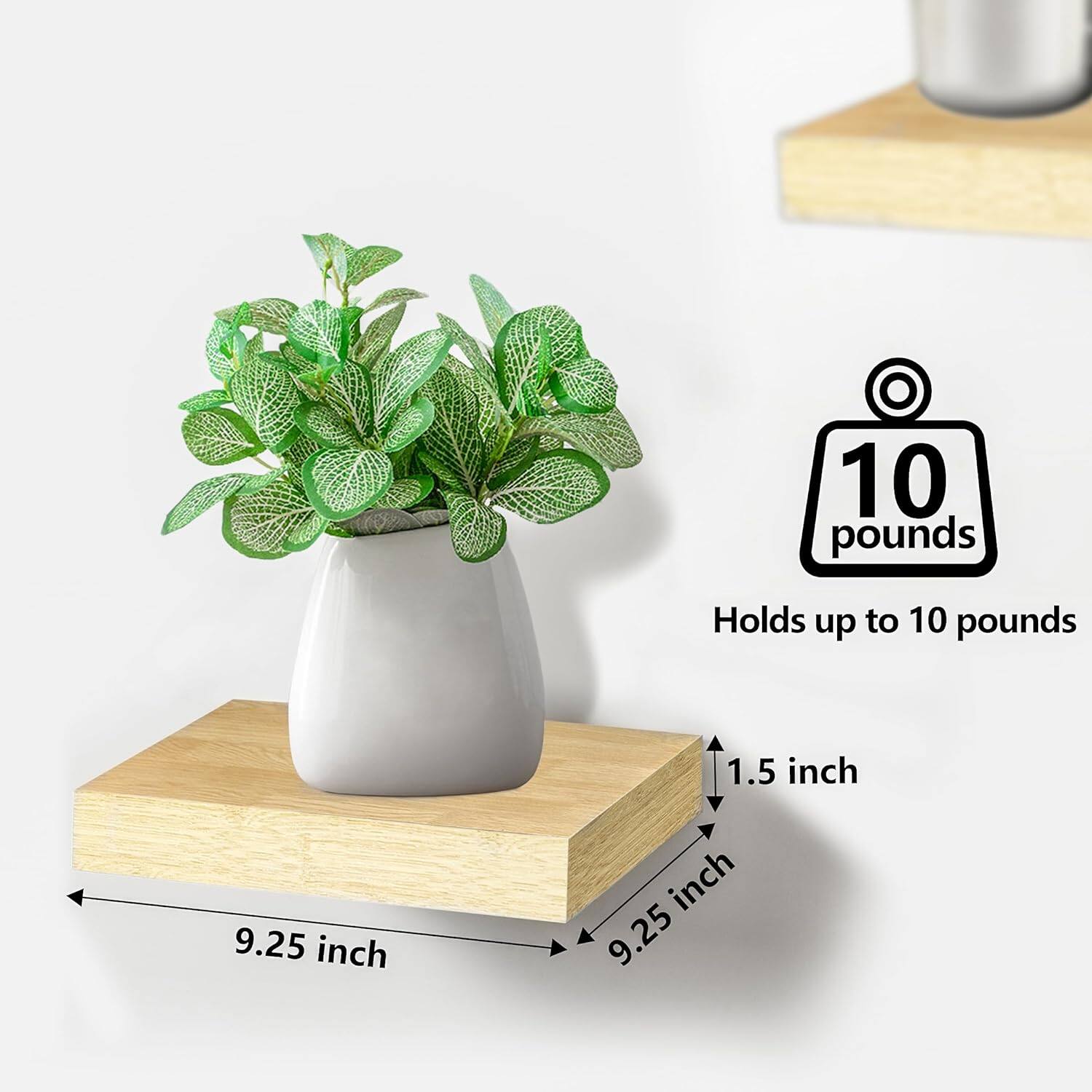 10 pounds, Holds up to 10 pounds, 1.5 inch, 9.25 inch, 9.25 inch