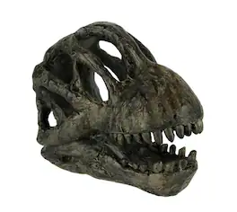 Zeckos - 6 inch Brachiosaurus Dinosaur Skull Fossil Statue Resin Office Desk Décor - Brown