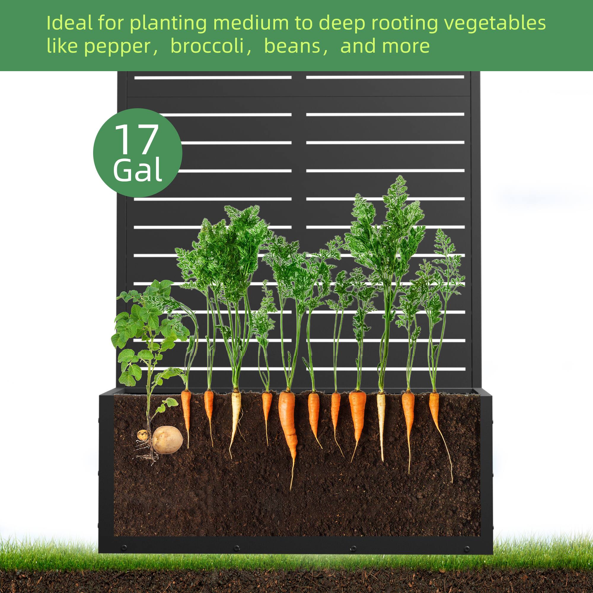 Ideal for planting medium to deep rooting vegetables like pepper, broccoli, beans, and more

17 Gal
