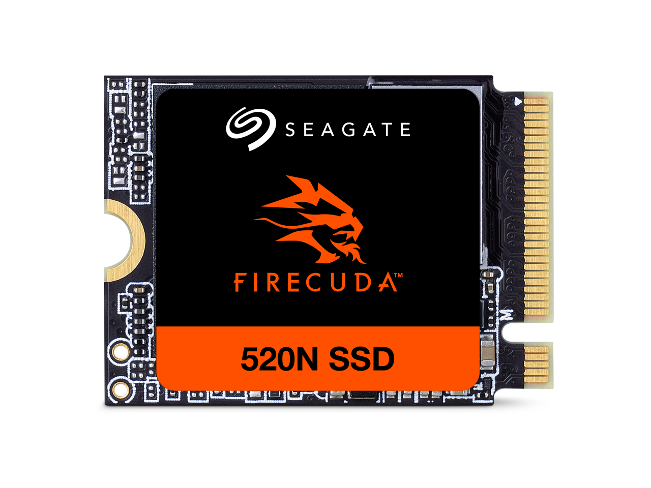 SEAGATE™ FIRECUDATM 520N SSD