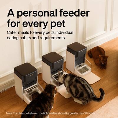 Wet Food Cat ROJECO Automatic Cat Feeder, 2L Pet Feeder Dual Power