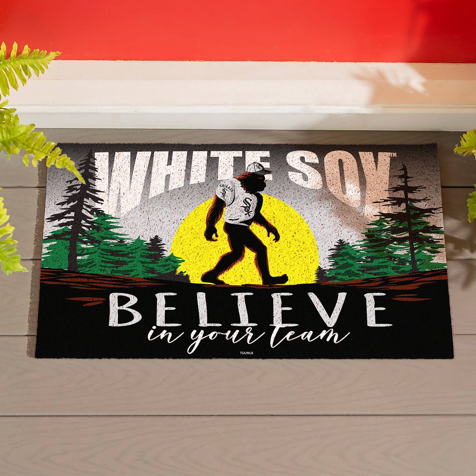WHITE SOY  
BELIEVE in your team