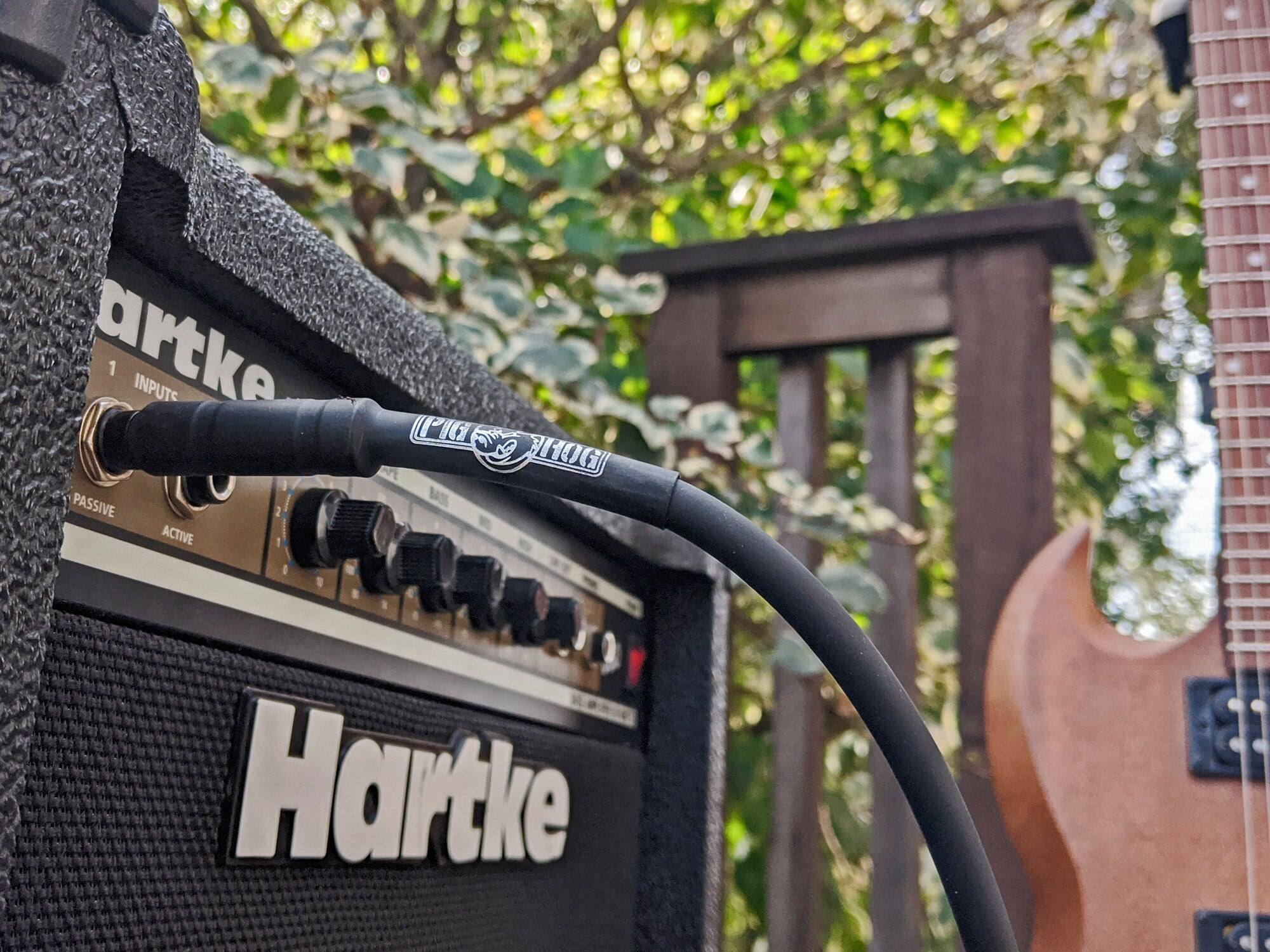 artke 1 INPUTS PASSIVE ACTIVE CIG 3 HOG Hartke