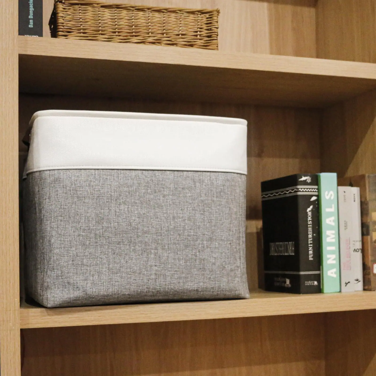 Furniture History  
Animals