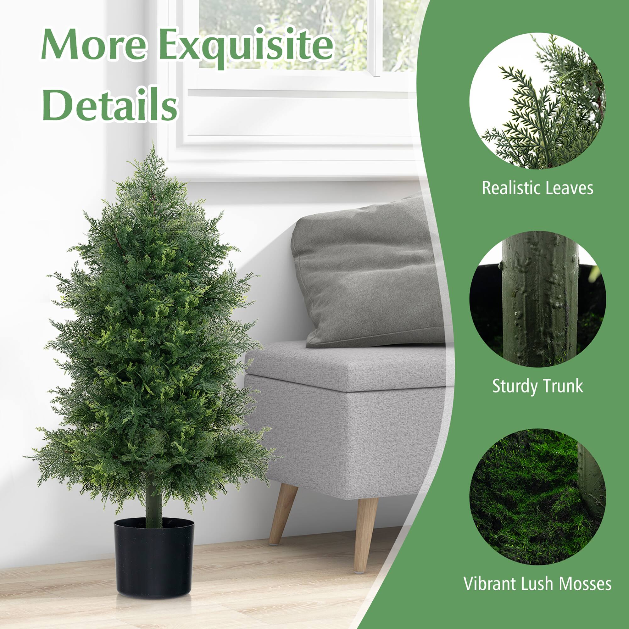More Exquisite Details

- Realistic Leaves
- Sturdy Trunk
- Vibrant Lush Mosses