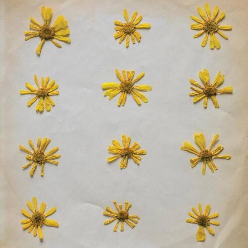 Front. Molochs - Flowers In The Spring   - VINYL LP.