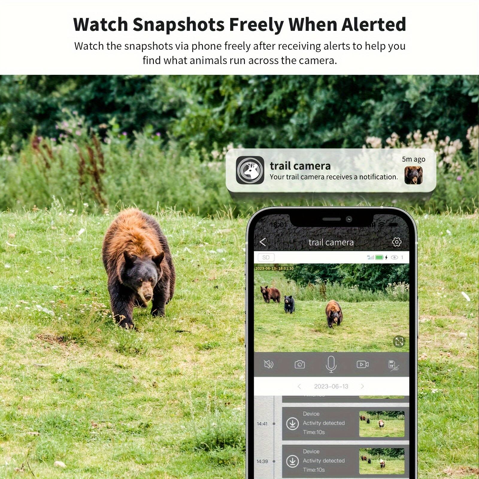 Watch Snapshots Freely When Alerted
Watch the snapshots via phone freely after receiving alerts to help you find what animals run across the camera.
trail camera
5m ago
Your trail camera receives a notification.
trail camera
SD
2023-06-13 18:13:00
2023-06-13
Device
Activity detected
Time:10s
Device
Activity detected
Time:10s