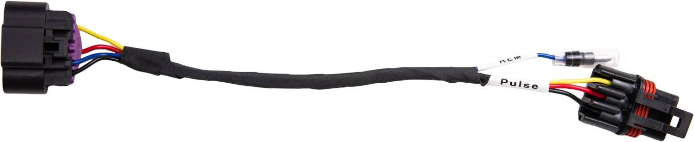 The text on the image reads "Pulse."