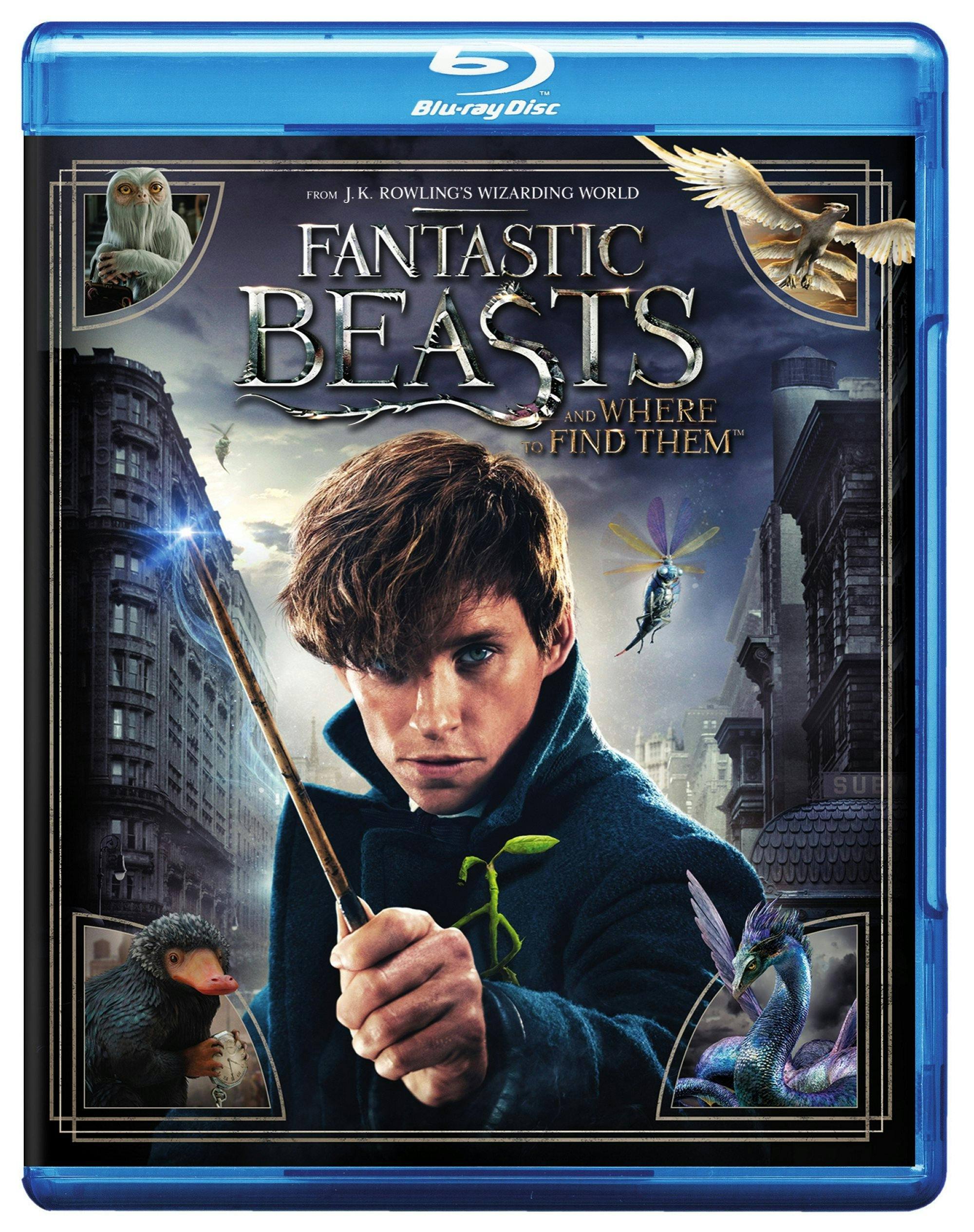 Fantastic Beasts and Where to Find Them [Blu-Ray] [Standard]