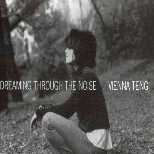  Dreaming Through the Noise [CD]