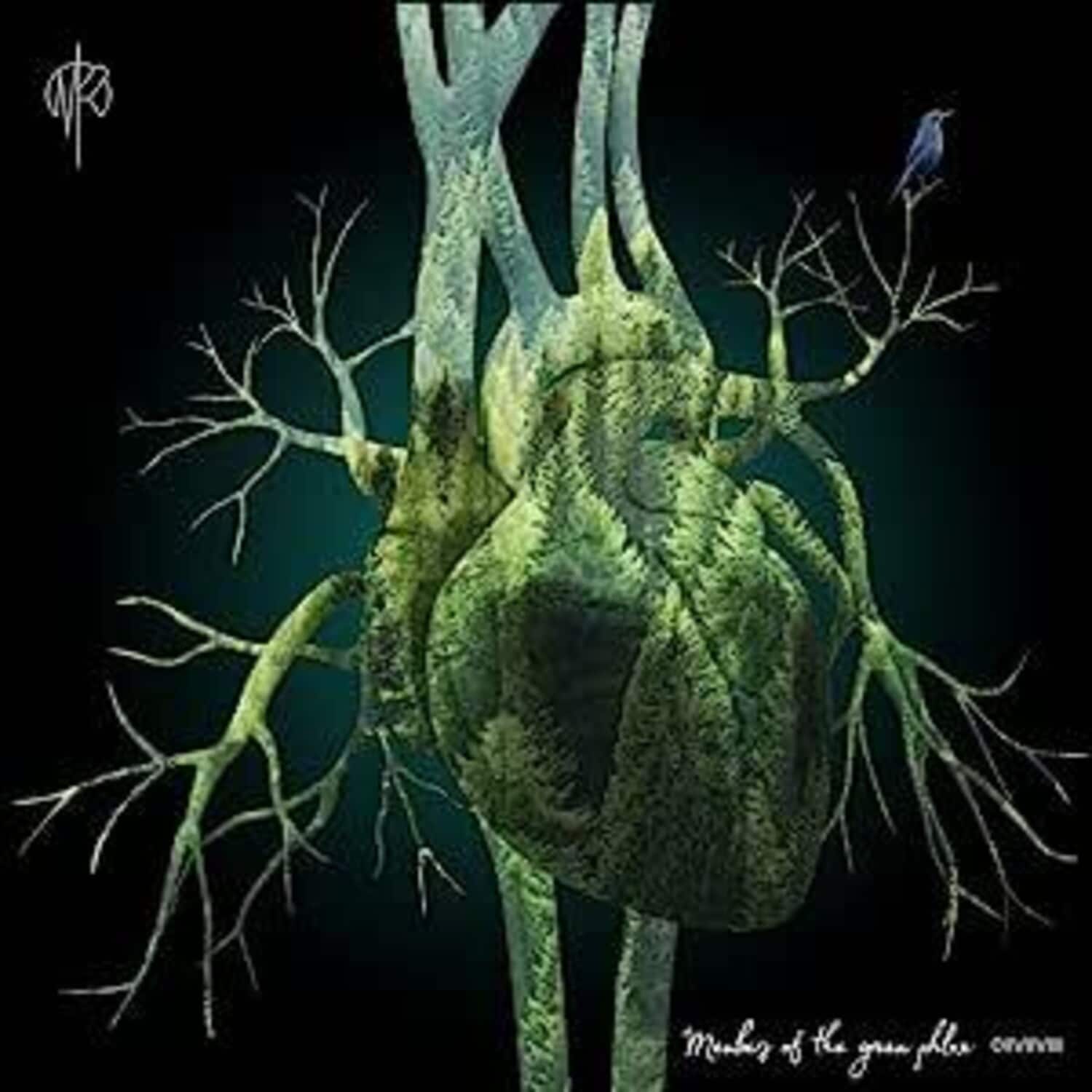 Martin Rubashov - Members Of The Green Phlox   - VINYL LP price history on PriceWatchPro