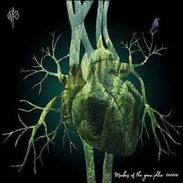 Martin Rubashov - Members Of The Green Phlox - VINYL LP