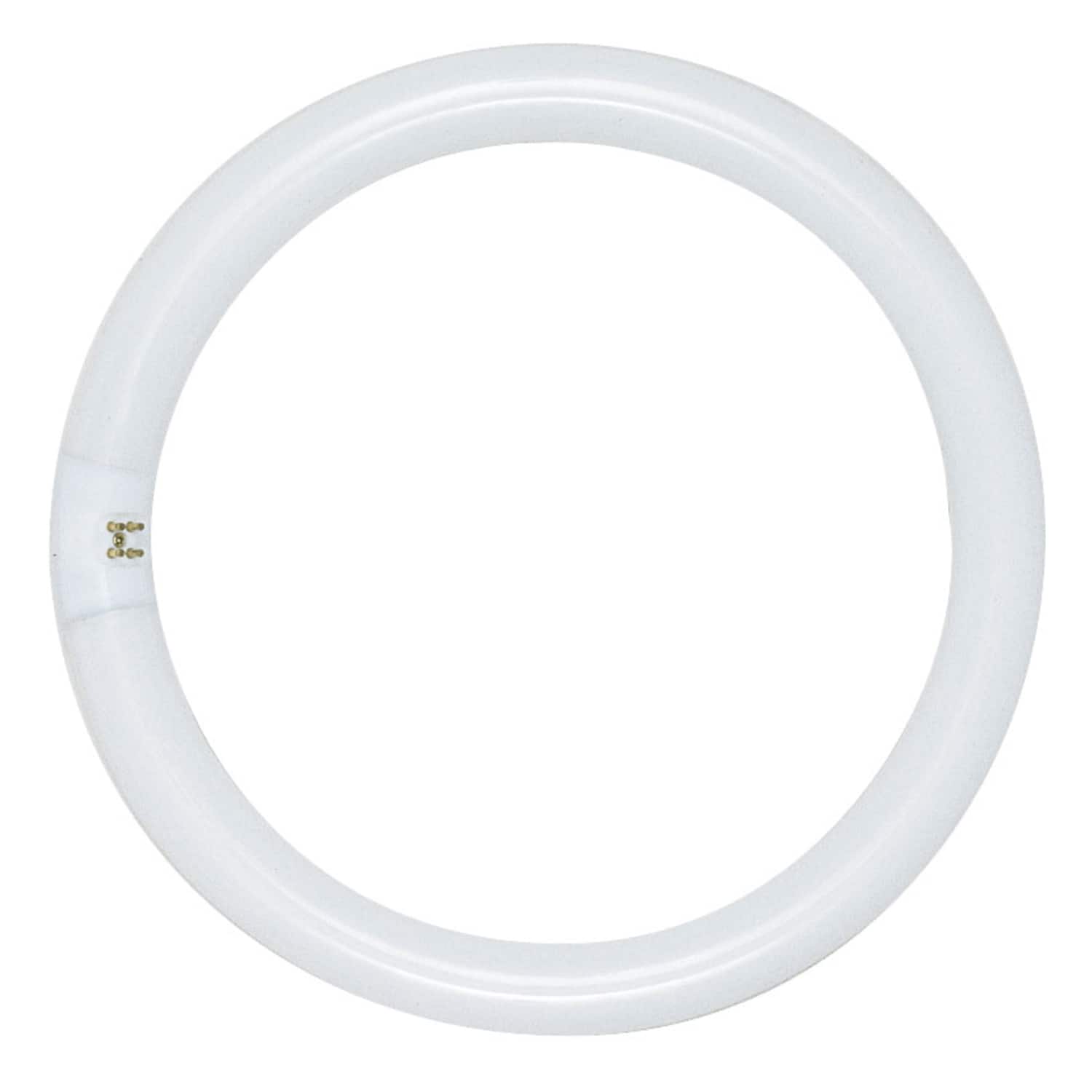 SATCO - 22 W T9 1.13 in. D X 8 in. L Circline Fluorescent Bulb Daylight Tubular 6500 K 1 pk