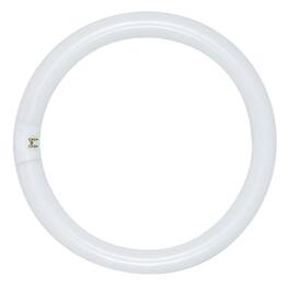 SATCO - 22 W T9 1.13 in. D X 8 in. L Circline Fluorescent Bulb Daylight Tubular 6500 K 1 pk
