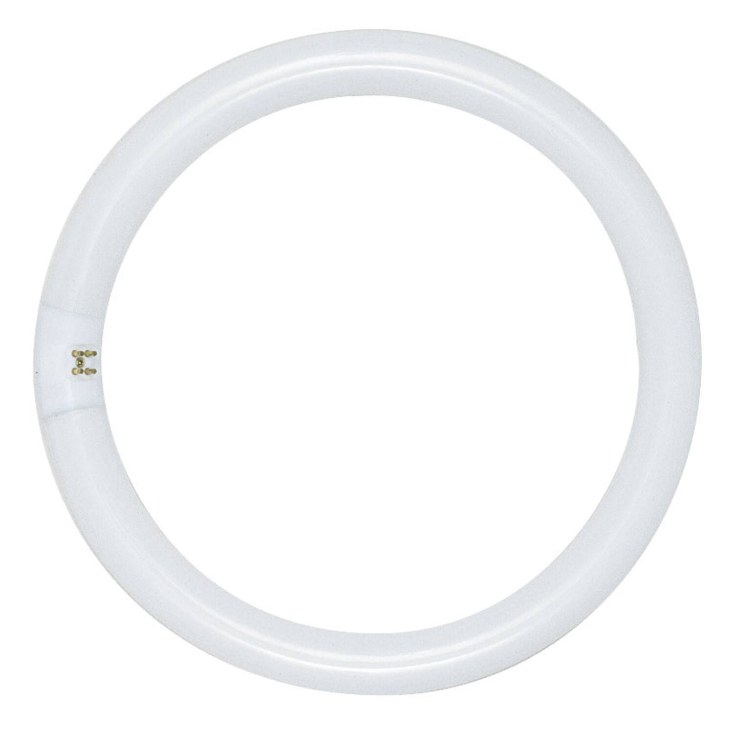 Front. SATCO - Satco 22 W T9 1.13 in. D X 8 in. L Circline Fluorescent Bulb Daylight Tubular 6500 K 1 pk.