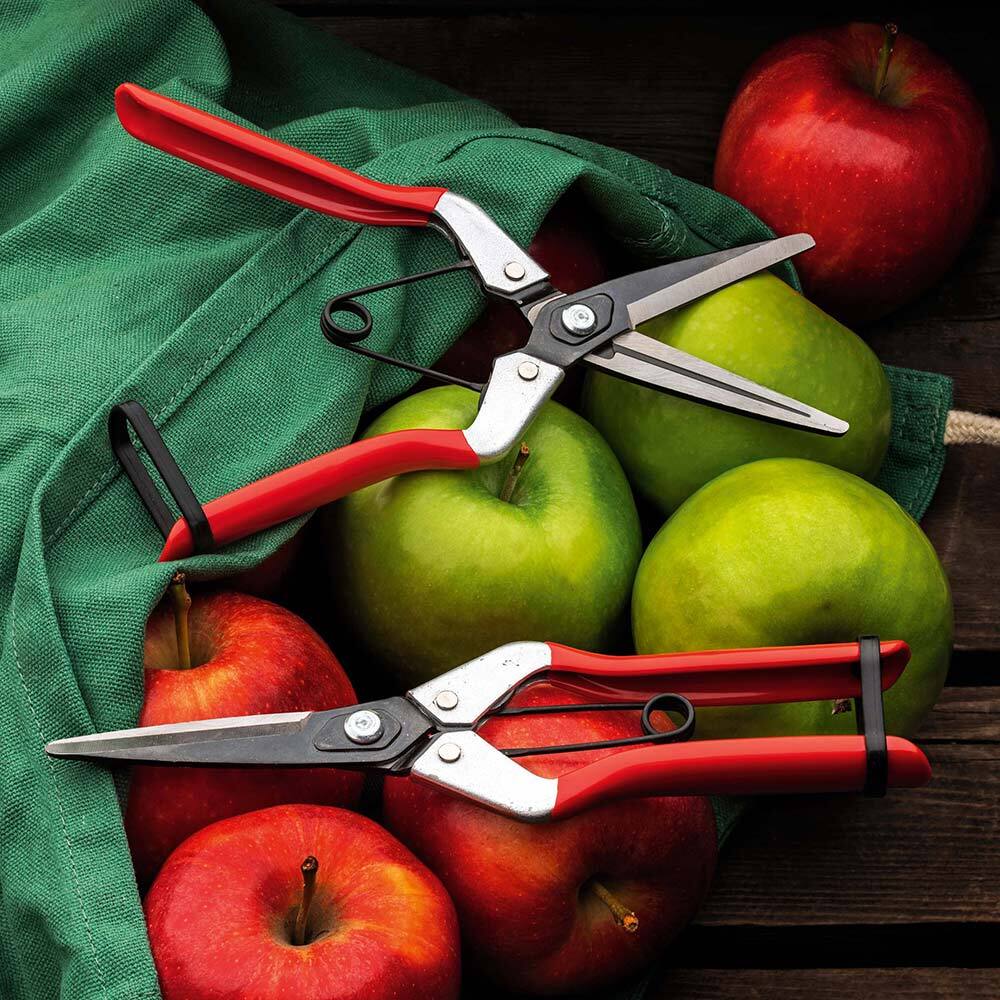 Alt View 1. Kings County Tools - LONG-NOSED FRUIT SCISSORS.
