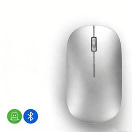 SKRAN - Wireless Mouse - Type-C Rechargeable Silent Dual-Mode Wireless Mouse, 2.4G/BT, Ergonomic,Quiet Click for Office/Study - Wireless - Silver