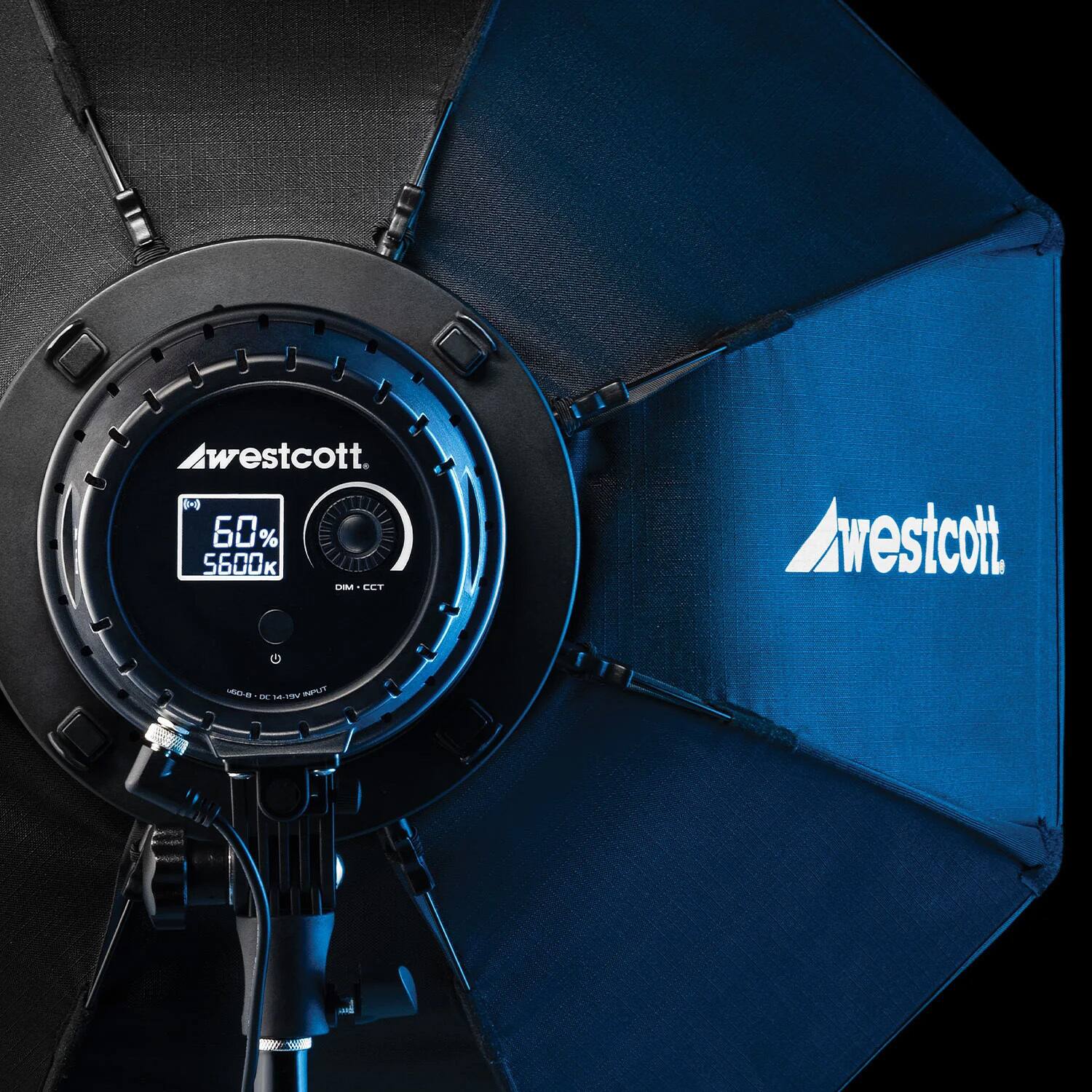 Westcott  
60%  
5600K  
CCT  
DCM  
Westcott