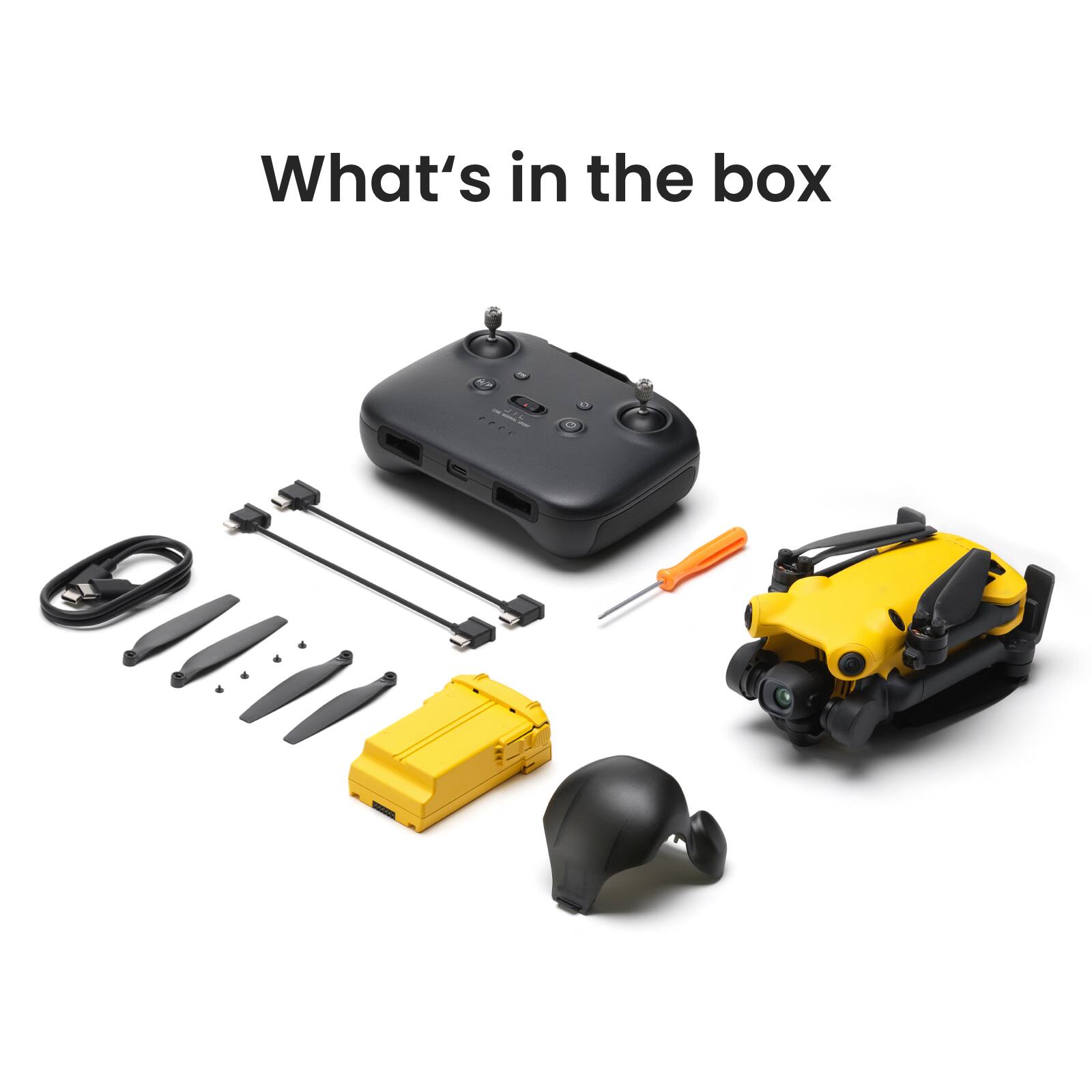 What's in the box