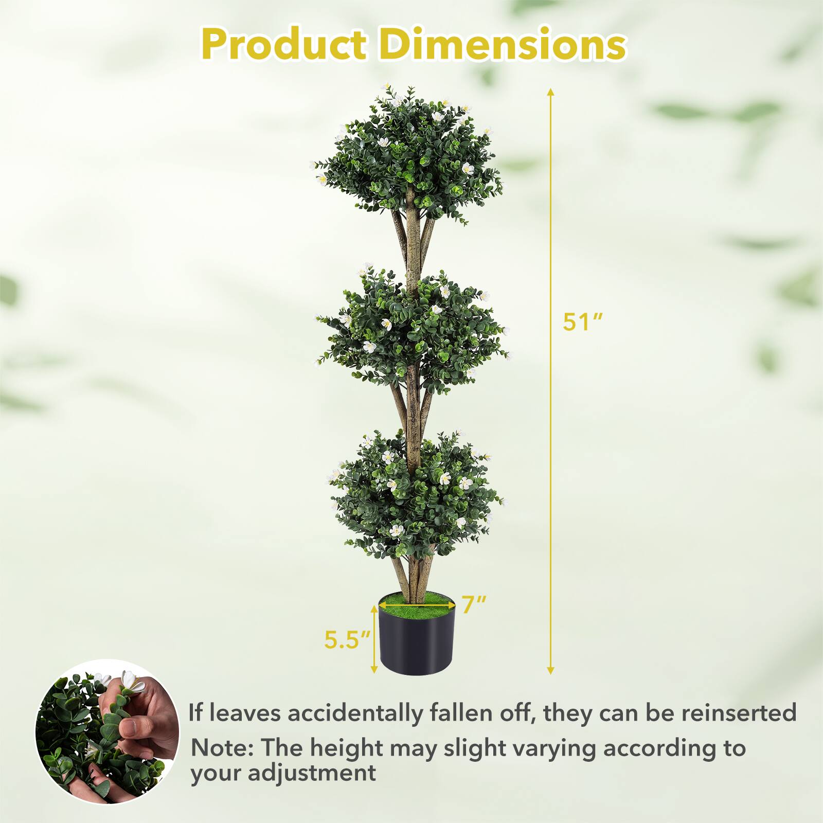 Product Dimensions  
51" x 5.5" x 7"  

If leaves accidentally fallen off, they can be reinserted  
Note: The height may slightly vary according to your adjustment