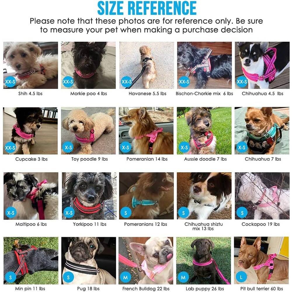 **SIZE REFERENCE**

Please note that these photos are for reference only. Be sure to measure your pet when making a purchase decision.

- **XX-S**
  - Shih 4.5 lbs
  - Morkie poo 4 lbs
  - Havanese 5.5 lbs
  - Bichon-Chorkie mix 6 lbs
  - Chihuahua 4.5 lbs

- **X-S**
  - Cupcake 3 lbs
  - Toy poodle 9 lbs
  - Pomeranian 14 lbs
  - Aussie doodle 7 lbs
  - Chihuahua 7 lbs

- **S**
  - Maltipoo 6 lbs
  - Yorkipoo 11 lbs
  - Pomeranians 12 lbs
  - Chihuahua shiztu mix 13 lbs
  - Cockapoo 19 lbs

- **M**
  - Min pin 11 lbs
  - Pug 18 lbs
  - French Bulldog 22 lbs
  - Lab puppy 26 lbs
  - Pit bull terrier 60 lbs