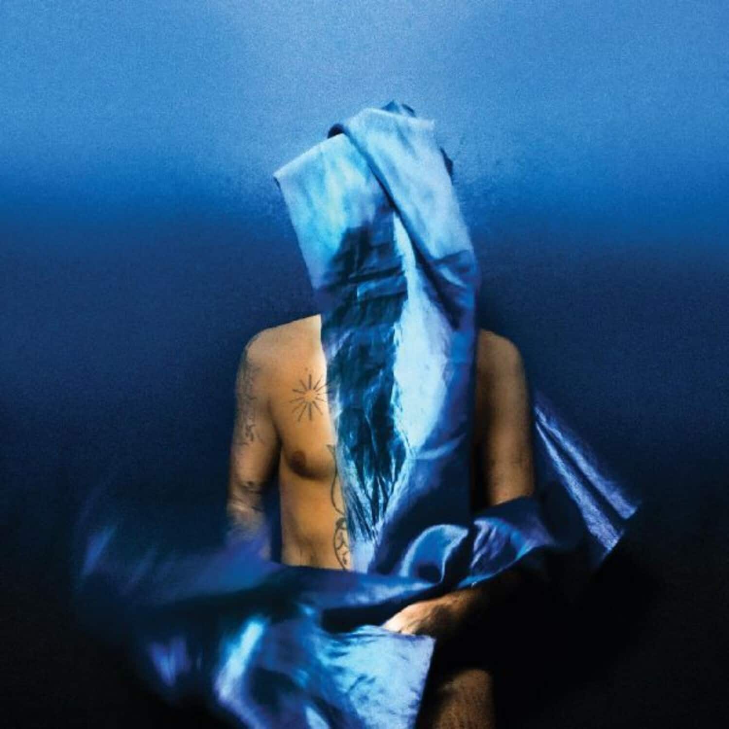 Devendra Banhart - Flying Wig  - COMPACT DISCS