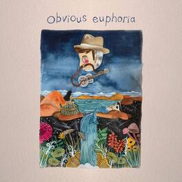 Matt Mitchell Music Co. - Obvious Euphoria - VINYL LP
