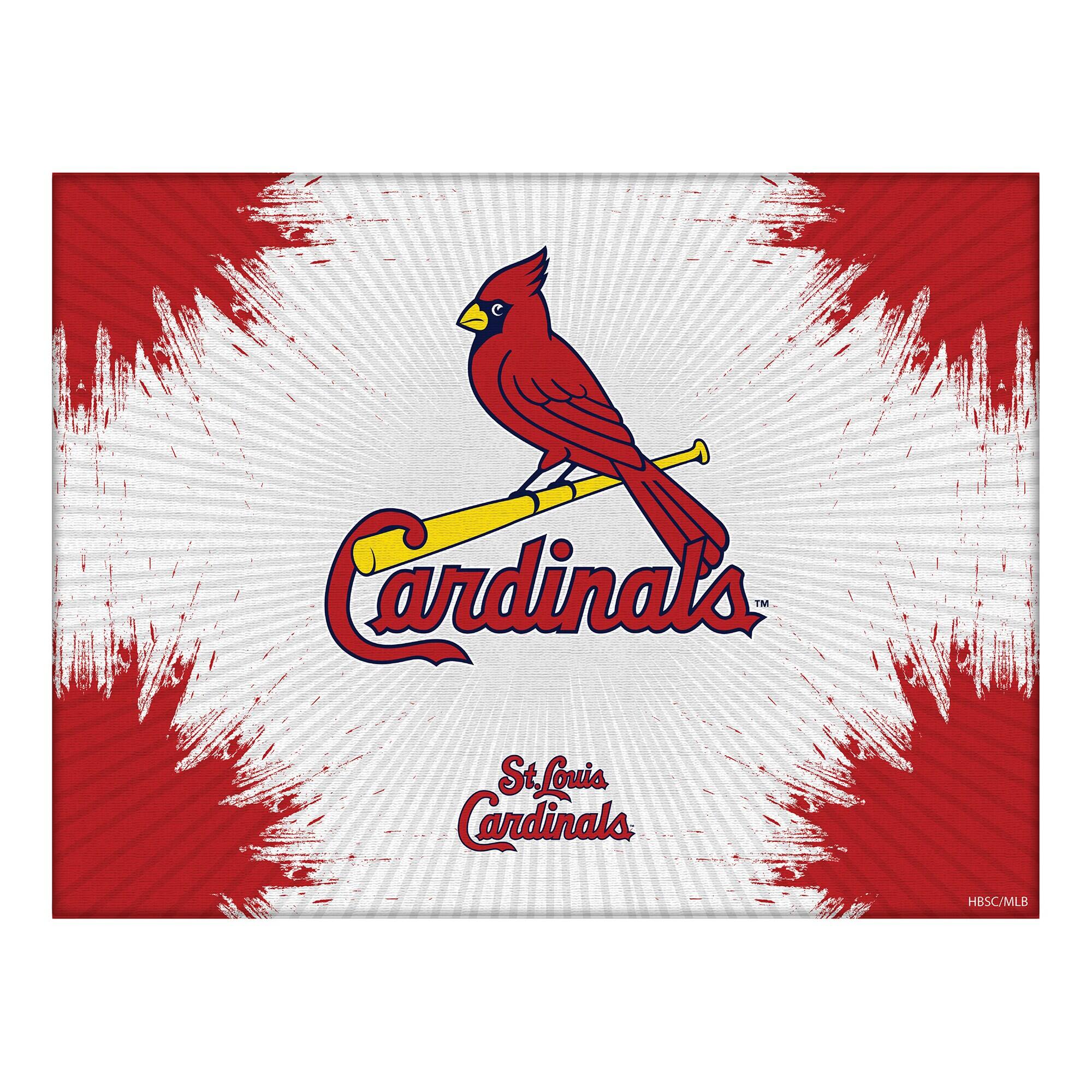 24" x 32" Splash Canvas Wall Art