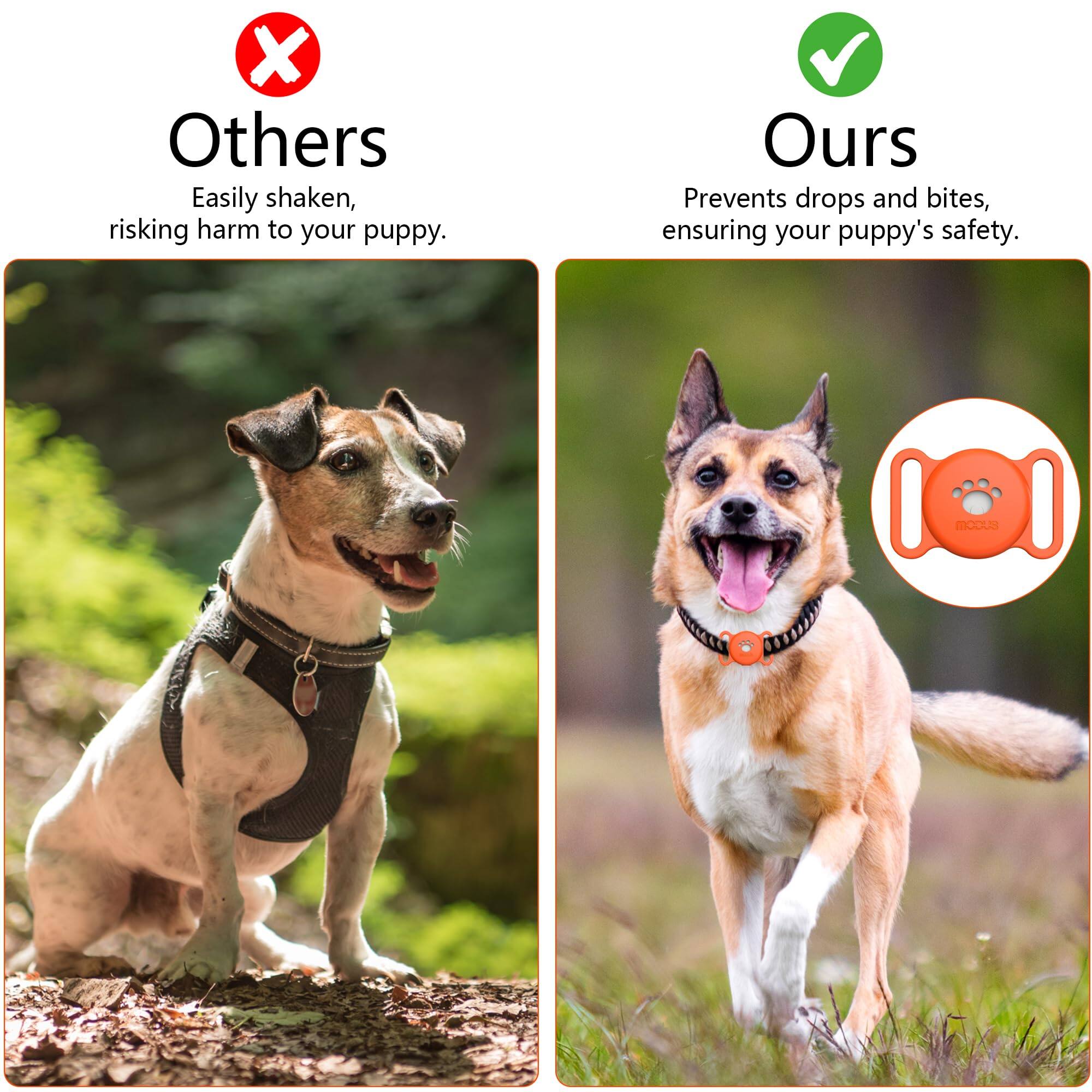 Others  
Easily shaken, risking harm to your puppy.

Ours  
Prevents drops and bites, ensuring your puppy's safety.