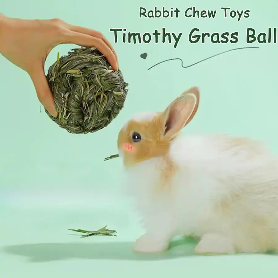 Live At Space Rabbit Ball Timothy Grass Grinding Small Animal Activity ...