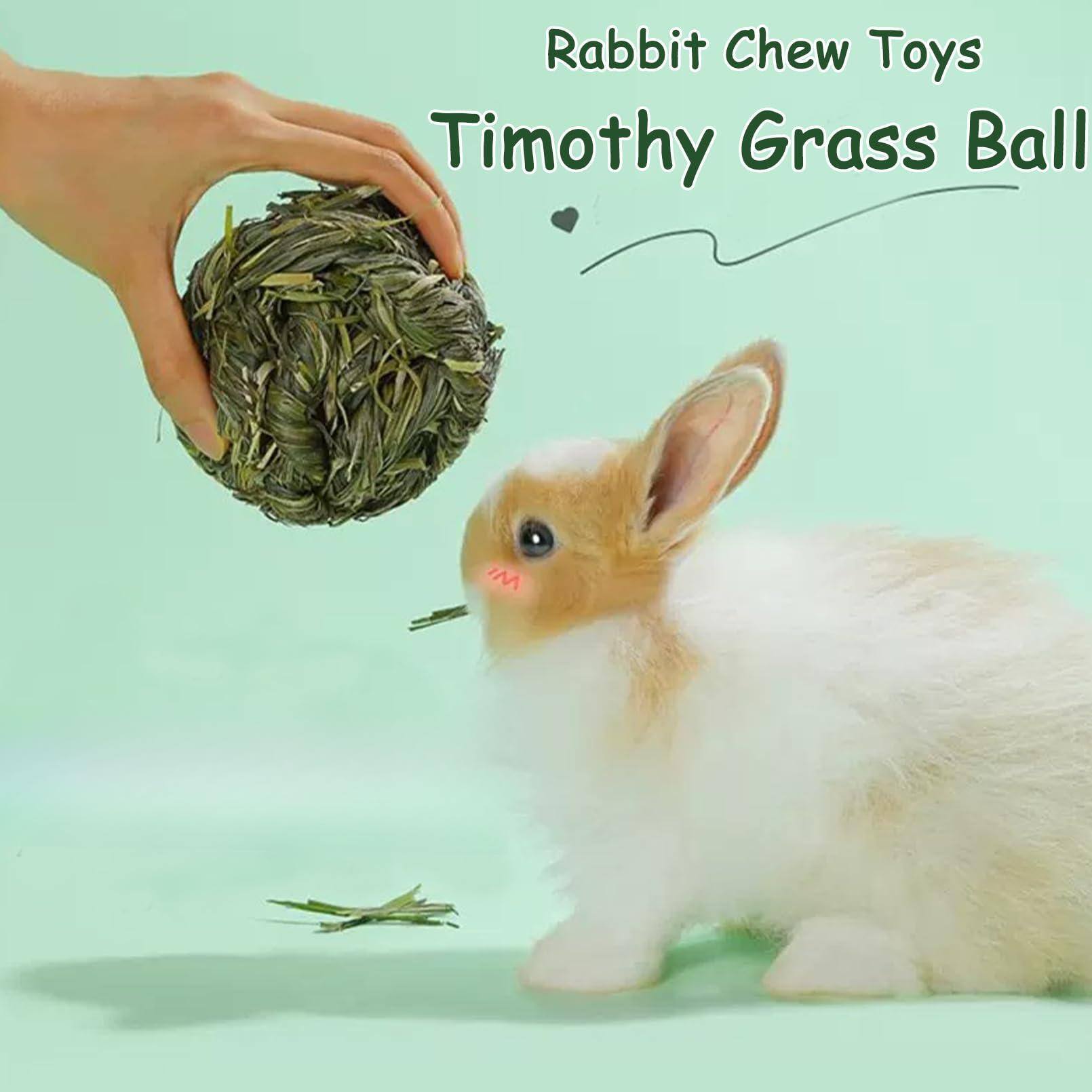 Live At Space Rabbit Ball Timothy Grass Grinding Small Animal Activity ...