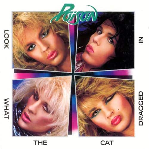 Look What the Cat Dragged In [Bonus Tracks] [CD]
